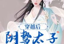 穿越后，阴鸷太子为爱发疯免费阅读(苏锦东陵璟)小说免费读最新章节-常青文学