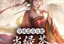 求助这本胡说，她才不是坏女人！小说在哪里可以看完结版-常青文学