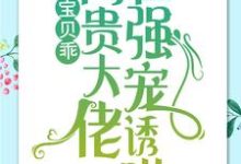 求助这本宝贝乖：高贵大佬在强宠诱哄小说在哪里可以看完结版-常青文学