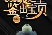 震惊！我能从破烂里鉴出宝贝！小说最新章节在哪里可以免费看-常青文学