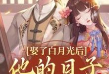 娶了白月光后，他的日子鸡飞狗跳免费阅读(盛栖月萧玉衡)小说免费读最新章节-常青文学