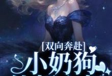 求助这本双向奔赴，小奶狗他超心机小说在哪里可以看完结版-常青文学