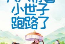 求助这本首辅大人不好了！夫人带着小世子跑路了小说在哪里可以看完结版-常青文学
