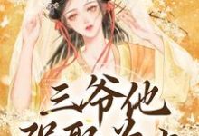 求助这本三爷他强娶为上小说在哪里可以看完结版-常青文学