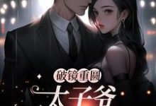 主人公是黎念靳宴深的小说破镜重圆：太子爷他太霸道免费阅读-常青文学