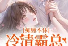 痴缠不休：冷清霸总重拾旧爱热门小说(沈鸯周越)在线阅读无弹窗-常青文学