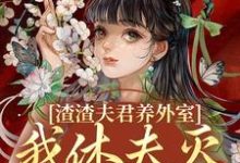 完结版渣渣夫君养外室，我休夫灭妾另高嫁在哪免费看，萧时衍叶宛卿小说在线阅读-常青文学