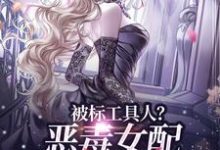 被标工具人？恶毒女配甩男主求自由免费阅读，宋以宁陆明聿大结局无弹窗-常青文学