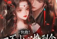 快跑！一不小心撩到个魔王夫君无弹窗裴言礼姜祈安最新章节列表-常青文学