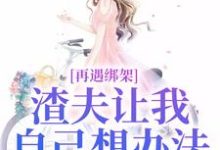 再遇绑架，渣夫让我自己想办法无弹窗苏夏顾帆最新章节列表-常青文学