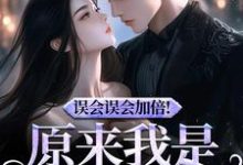 误会误会加倍！原来我是他的挚爱大结局，宁穗季晏辞小说无广告阅读-常青文学