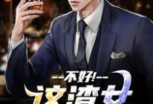 (全文)不好！这渣女要虐死了顾迟云云晚晚全本免费在线阅读-常青文学