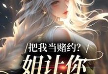 (全文)把我当赌约？姐让你跪地求饶完结小说推荐贺南序周初黎全本书籍阅读-常青文学