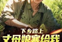 (全文)下乡路上，丈母娘塞给我一车嫁妆林辰宋雨最新完结小说下乡路上，丈母娘塞给我一车嫁妆免费小说全本-常青文学