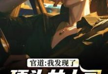 (全文)官道：我发现了顶头女上司的秘密（徐青胡丽娜）免费小说官道：我发现了顶头女上司的秘密试读更新章节-常青文学