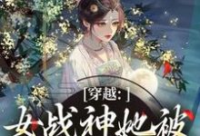 (全文)穿越：女战神她被尊主俘获了（云澜夜无溟）试读更新章节穿越：女战神她被尊主俘获了免费小说-常青文学
