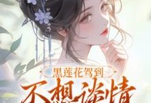 (全文)黑莲花驾到宁司寒林妩小说（宁司寒林妩）全本书籍阅读黑莲花驾到宁司寒林妩小说免费小说全本-常青文学