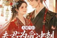 大婚当日，夫君为爱冲刺救白月光完整版小说大婚当日，夫君为爱冲刺救白月光(林菀堂萧睿川)全章小说阅读-常青文学
