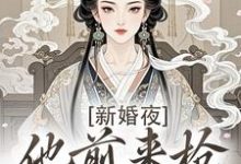新婚夜，他前来抢夺我的心推荐完结小说新婚夜，他前来抢夺我的心(温棠谢云州)免费小说全本-常青文学