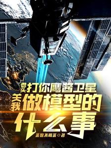 老头打你鹰酱卫星，关我做模型的什么事秦阳热门小说排行榜老头打你鹰酱卫星，关我做模型的什么事免费小说