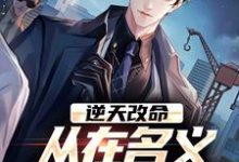 逆天改命，从在名义当秘书开始完整版小说，逆天改命，从在名义当秘书开始陈正泽祁同伟全章小说阅读-常青文学