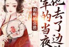被赐婚常胜将军的当夜，他去了边关热门小说排行榜被赐婚常胜将军的当夜，他去了边关青妩燕昭免费小说全本-常青文学