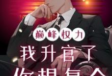 (全文)巅峰权力：我升官了你想复合完结小说推荐林磊全本书籍阅读-常青文学