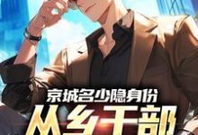京城名少隐身份，从乡干部开始逆袭谢斌裴靖泽最新完结小说，京城名少隐身份，从乡干部开始逆袭全本免费在线阅读-常青文学