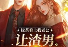 (全文)绿茶看上我老公，让渣男哄我私奔？(沈延仲舒玉兰)全本免费在线阅读-常青文学