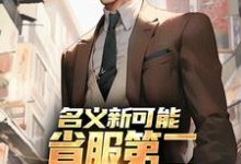 (全文)名义新可能：省服第二能否逆转大局（萧承李妙灵）全本书籍阅读名义新可能：省服第二能否逆转大局免费小说全本-常青文学