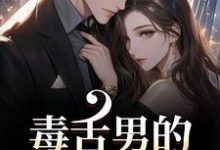 (全文)毒舌男的温柔攻势(盛京御宋听晚)全本免费在线阅读-常青文学