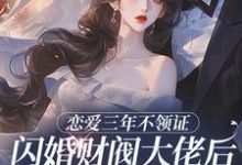 (全文)恋爱三年不领证，闪婚财阀大佬后他急疯免费小说全本，苏婠周衍焱试读更新章节-常青文学