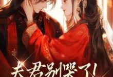 (全文)夫君别哭了！我来替你虐渣(沈婉宁韩云泽)全本免费在线阅读-常青文学