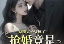 京圈太子爷疯了！抢婚竟是蓄谋已久（陆妄辞虞晚颜）小说推荐京圈太子爷疯了！抢婚竟是蓄谋已久全章小说阅读-常青文学