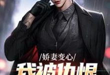 娇妻变心，我被仇恨占据了全身（路无铭墨凉馨）全本书籍阅读娇妻变心，我被仇恨占据了全身完整版小说-常青文学