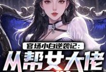 (全文)官场小白逆袭记：从帮女大佬开始唐诚李文静最新完结小说官场小白逆袭记：从帮女大佬开始免费小说全本-常青文学