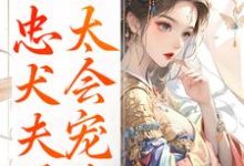 娇妾：忠犬夫君，太会宠！热门小说排行榜娇妾：忠犬夫君，太会宠！慕南宸姜铭烟免费小说全本-常青文学
