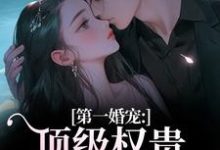 第一婚宠：顶级权贵追妻火葬场完整版小说，第一婚宠：顶级权贵追妻火葬场叶惊兰薄戎淮试读更新章节-常青文学