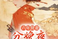 六年贤妻，分娩夜心死换和离完整版小说，六年贤妻，分娩夜心死换和离姜玉筝沈宴沉试读更新章节-常青文学