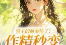 男主的前妻悟了！作精秒变粘人精完整版小说，男主的前妻悟了！作精秒变粘人精许岁宁霍青山试读更新章节-常青文学