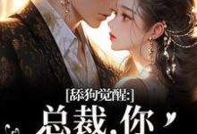 许瑾禾裴景之舔狗觉醒：总裁，你只是个替身全本免费在线阅读-常青文学