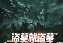 (全文)盗墓就盗墓，怎么都在调查我吴邪白小白最新完结小说盗墓就盗墓，怎么都在调查我免费阅读-常青文学