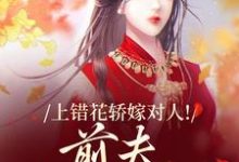 上错花轿嫁对人（萧念窈陆奉行）小说推荐上错花轿嫁对人全章小说阅读-常青文学