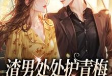 渣男处处护青梅方毅沈绮最新完结小说，渣男处处护青梅全本免费在线阅读-常青文学