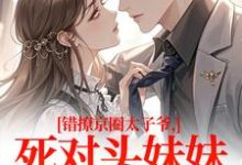 错撩京圈太子爷，死对头妹妹成真爱（叶清璃段鹤野）全章小说阅读-常青文学