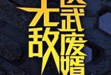 (全文)无敌医武废婿秦铭最新完结小说无敌医武废婿免费阅读-常青文学