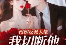 改嫁反派大佬，我切断他黑化根源！最新章节阅读改嫁反派大佬，我切断他黑化根源！(江知微萧著)试读更新章节-常青文学