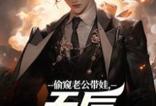 偷窥老公带娃，天后坐不住了陆辰完结小说推荐，偷窥老公带娃，天后坐不住了全章小说阅读-常青文学