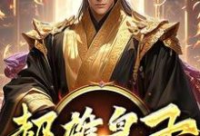 超雄皇子（萧凡）全本书籍阅读超雄皇子完整版小说-常青文学