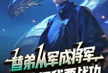 替弟从军成将军，归来问我要战功最新完结小说替弟从军成将军，归来问我要战功叶临渊免费小说-常青文学